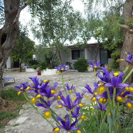 B&B Masseria Liberatore-3